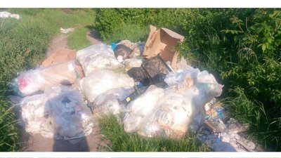 У селі на Львівщині мешканці спіймали чоловіка, який незаконно скидував сміття