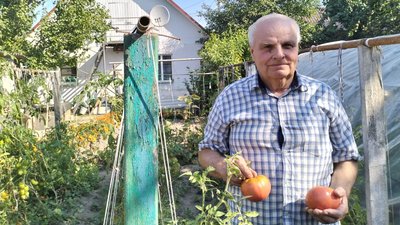 Помідори, Михайло Ігнатюк, сільське господарство