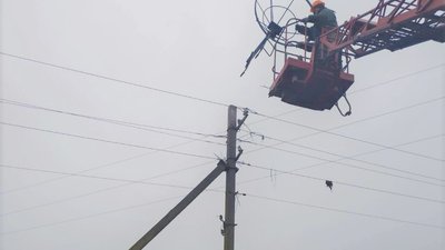На Рівненщині енергетики встановляють безпечні гнізда для лелек