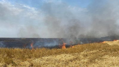 На Одещині горіло 2,5 га пшеничних полів: поліція підозрює підпал На Одещині горіло 2,5 га пшеничних полів: поліція підозрює підпал