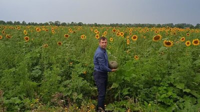 У Тростянці на Сумщині вирощують овочі з насіння, отриманого від благодійників