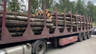 Завершено досудове розслідування щодо двох директорів агролісогосподарських підприємств