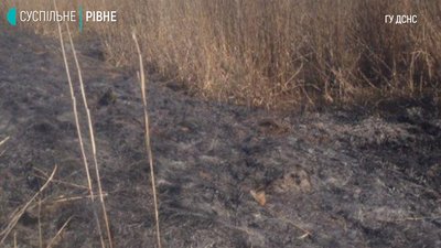 Затримали палія Затримали палія