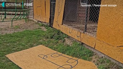 Наслідки негоди: 74 населених пункти на Рівненщині залишились без світла