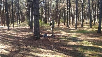 Поліцейські та вибухотехніки розміновують територію деокупованої Заградівки на Херсонщині під постійними обстрілами Поліцейські та вибухотехніки розміновують територію деокупованої Заградівки на Херсонщині під постійними обстрілами