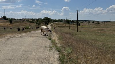 Щоденники забутих сіл: Новоматвіївське Щоденники забутих сіл: Новоматвіївське