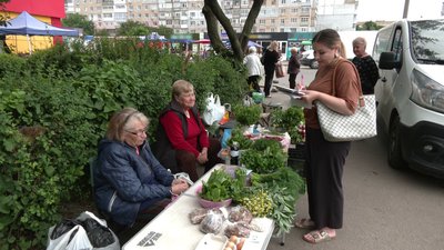 Продаж продуктів без дозволу. У Кропивницькому перевіряли місця стихійної торгівлі Продаж продуктів без дозволу. У Кропивницькому перевіряли місця стихійної торгівлі