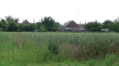 На Запоріжжі цьогоріч планують зібрати до 300 тисяч тонн зерна