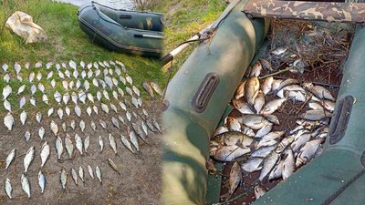 Рибалки з Чернігова за 20 кг риби заплатять державі понад 167 тисяч гривень