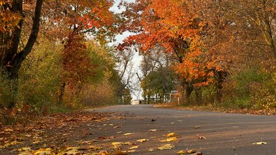 Осінь на дорогах Хмельниччини