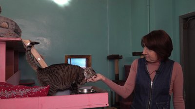 Мешканка Одеси друкує фото безпритульних котів на стаканчиках з кавою, аби знайти їм сім'ю Мешканка Одеси друкує фото безпритульних котів на стаканчиках з кавою, аби знайти їм сім'ю