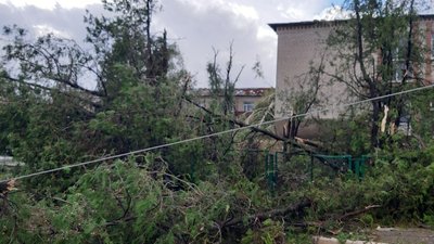 Повалені дерева та обірвані лінії електропередач: на Херсонщині вирувала негода