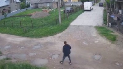 У Чернівцях розслідують дії чоловіка, який ймовірно стріляв з рушниці в безпритульних собак
