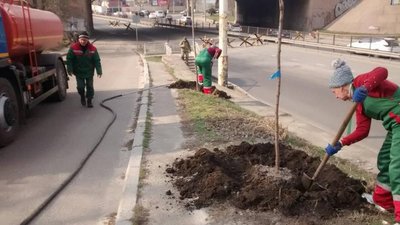 На одеських клумбах висадять 185 тисяч квітів На одеських клумбах висадять 185 тисяч квітів