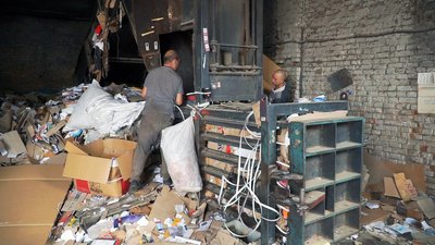 Хотіли заробити більше. На сортувальні у Вінниці підклали кошенят до макулатури
