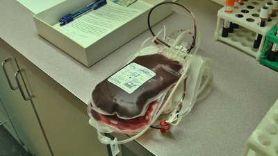За чотири години роботи пересувної автомобільної лабораторії кров здали пять донорів