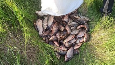 На Дніпропетровщині водний патруль виявив трьох браконьєрів