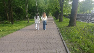 Сезон кліщів: на Донеччині випадків фіксації хвороби Лайма стало більше — як вберегтися