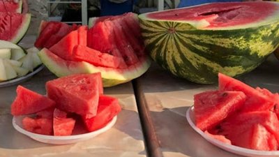Чи отримає херсонський кавун статус географічного зазначення Чи отримає херсонський кавун статус географічного зазначення