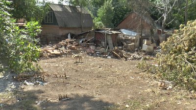 Територія, на якій Олена Шевченко утримувала безпритульних тварин Територія, на якій Олена Шевченко утримувала безпритульних тварин