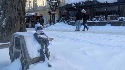 Кликуни в зимових шарфах і шапках