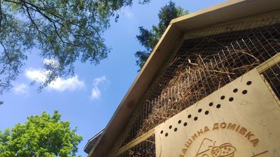 будиночок для комах, комашина домівка, комахи