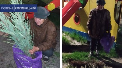 В Олександрії, що на Кіровоградщині, спіймали жінку, яка викопувала на клумбах ялівець В Олександрії, що на Кіровоградщині, спіймали жінку, яка викопувала на клумбах ялівець