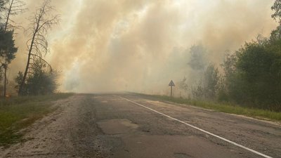 Пожежі в екосистемах у трьох районах Сумщини гасили рятувальники (ВІДЕО)