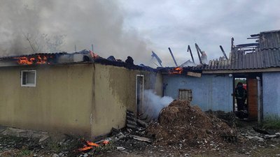 пожежа, кролики, вогонь, рятувальники, горіли кролики, тварини