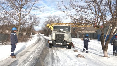 бузьки бузьки