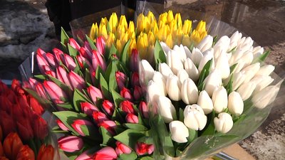 У Житомирі на вулиці Небесної Сотні почали продавати живі квіти У Житомирі на вулиці Небесної Сотні почали продавати живі квіти