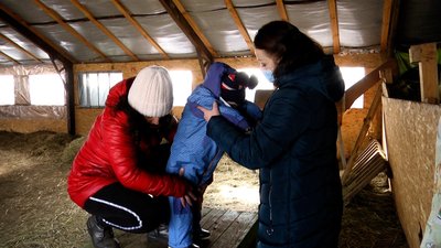У Житомирі 178 дітей з інвалідністю отримають адресну допомогу на реабілітацію методом іпотерапії У Житомирі 178 дітей з інвалідністю отримають адресну допомогу на реабілітацію методом іпотерапії
