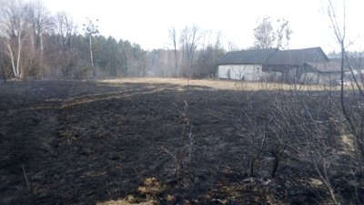 На Житомирщині за добу в семи районах області вигоріли два десятки гектарів сухостою На Житомирщині за добу в семи районах області вигоріли два десятки гектарів сухостою