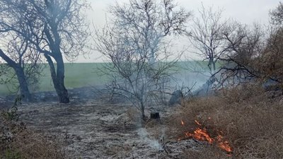 6 пожеж очерету на Херсонщині ліквідовано за добу 6 пожеж очерету на Херсонщині ліквідовано за добу