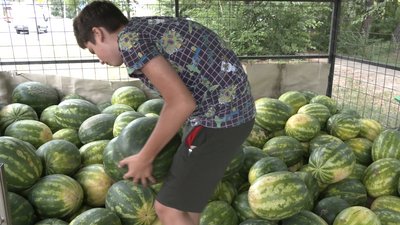 У Черкасах розпочали продаж кавунів У Черкасах розпочали продаж кавунів