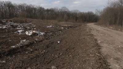 Свинячі рештки на стихійному сміттєзвалищі знайшли жителі Хмельницького району