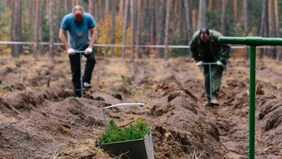 Акція "Мільйон дерев за добу": скільки молодняка встигли висадити на Харківщині Акція "Мільйон дерев за добу": скільки молодняка встигли висадити на Харківщині