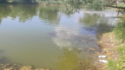 У Миргороді з водойми дістали тіло чоловіка