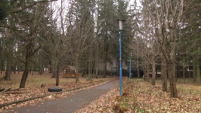 На Житомирщині понад 30 дітей-переселенців ходять близько п'яти кілометрів пішки через ліс до школи На Житомирщині понад 30 дітей-переселенців ходять близько п'яти кілометрів пішки через ліс до школи