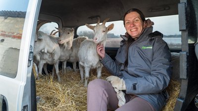 Крафтові сири з Дніпропетровщини Крафтові сири з Дніпропетровщини