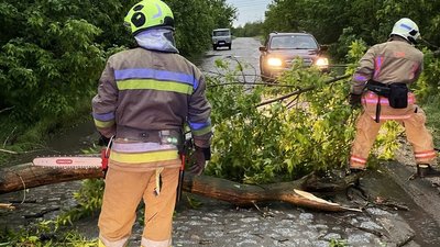 Рятувальники прибирають повалені дерева. 21 травня 2026 року