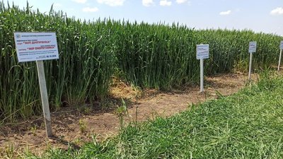 На Миколаївщині стартував Міжнародний агротехнічний форум На Миколаївщині стартував Міжнародний агротехнічний форум