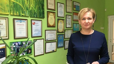 У підвалі 28 школи Тернополя, де живуть коти, замурували вікно У підвалі 28 школи Тернополя, де живуть коти, замурували вікно