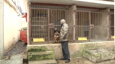 В одеському порту пройшли тренування службових собак В одеському порту пройшли тренування службових собак
