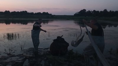 Знадобилось пів години: на Харківщині рятувальники витягли корову з води Знадобилось пів години: на Харківщині рятувальники витягли корову з води