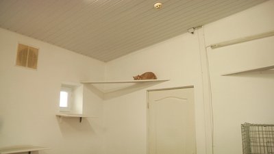 Притулок для тварин Одеса