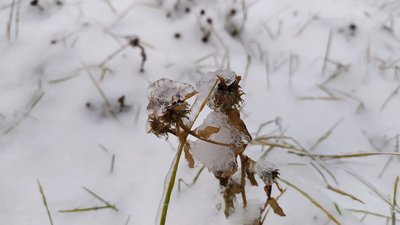 Негода на Миколаївщині. Область перебуває під впливом активного циклону Негода на Миколаївщині. Область перебуває під впливом активного циклону
