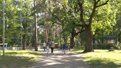 У парках інспектують дерева У парках інспектують дерева