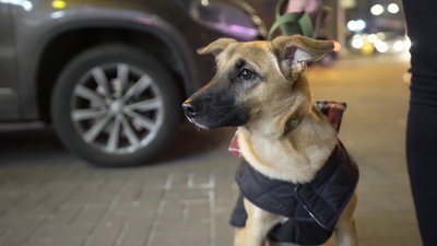 Перший рік волі: як прожили 2020-тий колишні політв'язні Перший рік волі: як прожили 2020-тий колишні політв'язні