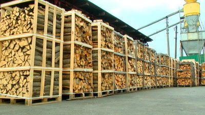 Продають дуб, граб та ясен: у лісництві на Вінниччині проводять акцію “Купуй дрова влітку” Продають дуб, граб та ясен: у лісництві на Вінниччині проводять акцію “Купуй дрова влітку”